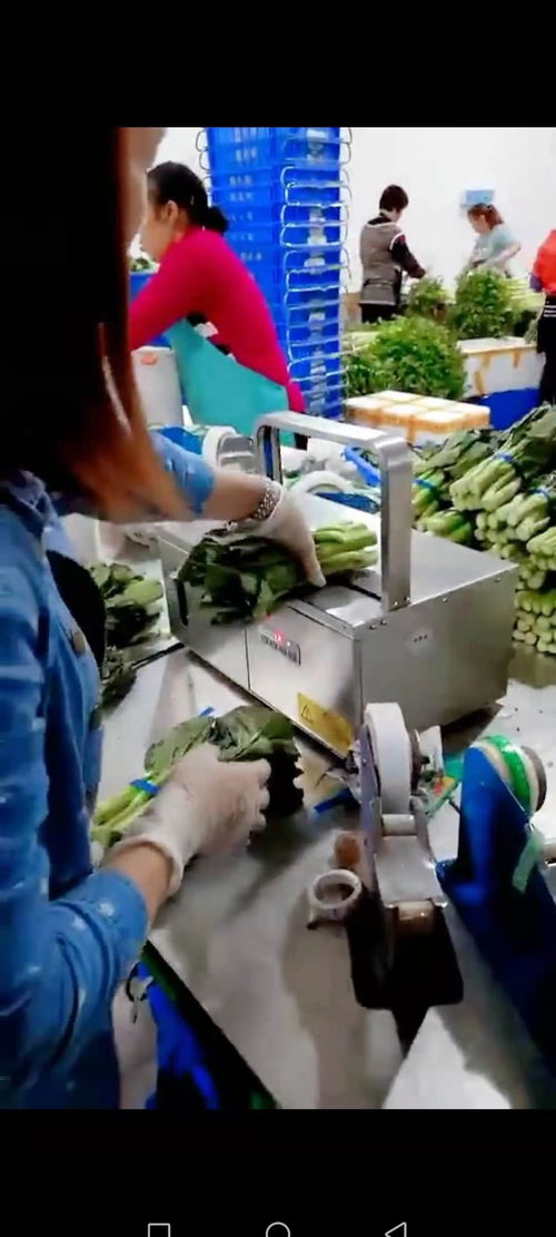 智能設(shè)備賦能工廠，銷量翻番的幕后故事